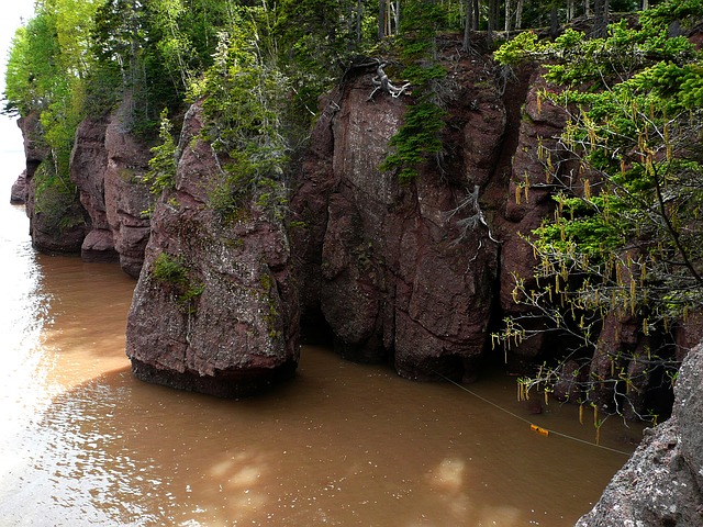 La baie de fundy dans le nord canadien
